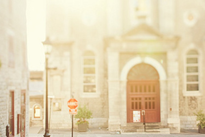 源自法國，purplelavender洗護(hù)品牌代理火熱招募