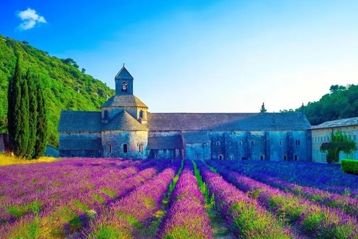 加盟沛得品牌，共享高端洗護市場