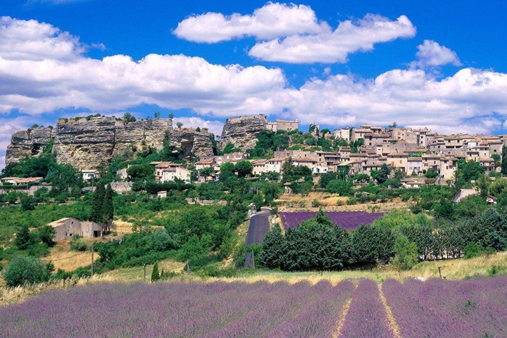 沛得男士洗護品牌，高端洗護的代名詞