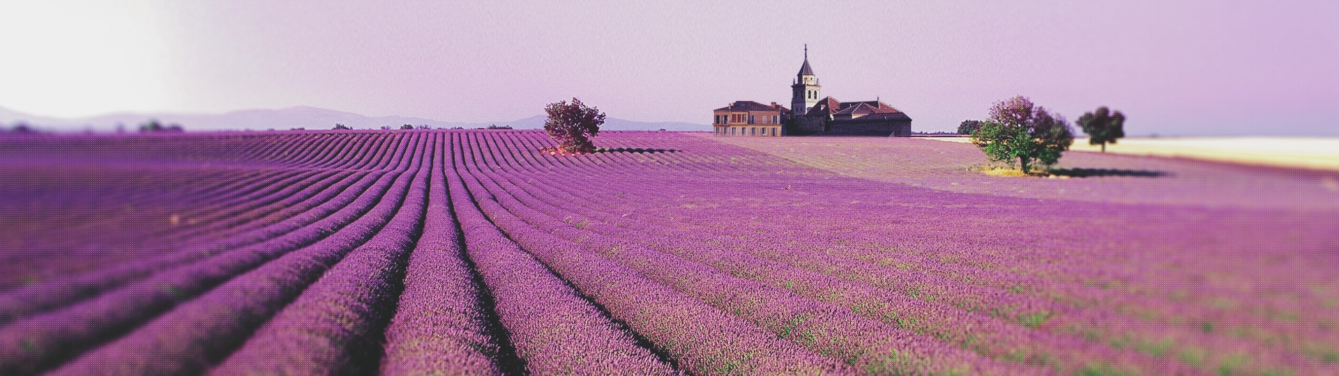 洗護品牌聯系我們