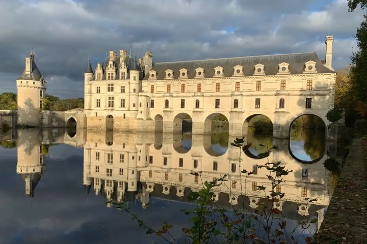 紫色薰衣草的法式優(yōu)雅，帶您走進(jìn)高端精致的洗護(hù)體驗(yàn)